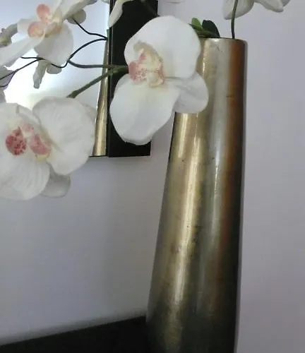 Sao Martinho Do Porto Beach Apartment דירה *