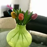 Διαμέρισμα Sao Martinho Do Porto Beach Apartment