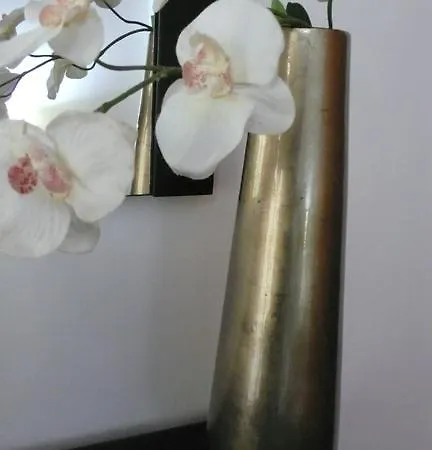 Sao Martinho Do Porto Beach Apartment Апартаменты *