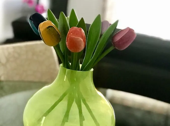 Apartman Sao Martinho Do Porto Beach Apartment